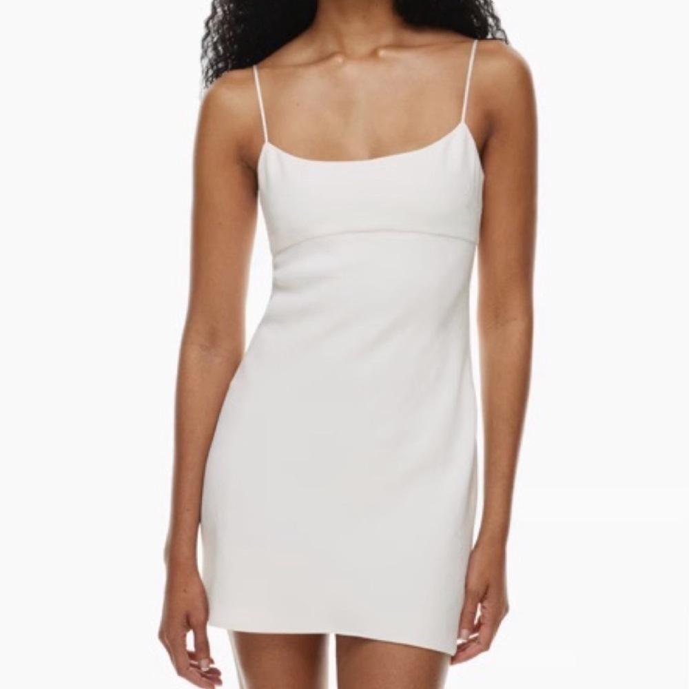 Aritzia Wilfred Foxley Dress